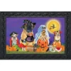 Briarwood Lane Trick Or Treat Dogs Halloween Doormat Cats Jack O'Lantern Indoor Outdoor 30" X 18" -Halloween Decoration Store GUEST 21de40cd a3cc 4d79 92d0 446cc9808917