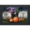 Briarwood Lane Spooky Kittens Halloween Doormat Jack O'Lanterns Cats Indoor / Outdoor 30" X 18" -Halloween Decoration Store GUEST 2e93153f e47a 4c92 a9ec 096d736f455d