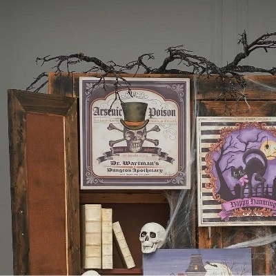 Gallerie II Dr. Wartman'S 3D Poison Skeleton Halloween Wall Art Decor Decoration 15.75 X 0.98 X 15.75 Inches. 6 Gallerie II Dr. Wartman'S 3D Poison Skeleton Halloween Wall Art Decor Decoration 15.75 X 0.98 X 15.75 Inches. - Image 4