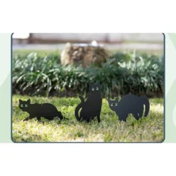 Halloween Decoration Store -Halloween Decoration Store GUEST 6fa9d9f8 4bed 4145 a22b b9c7a795a1cc